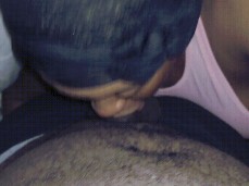 i like bear cock gif