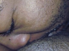 i like bear cock gif