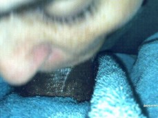 i like bear cock gif