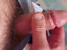 i like bear cock gif