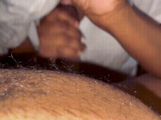 i like bear cock gif