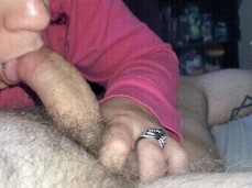 i like bear cock gif