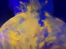 wife hard doggystyle fuck gif