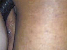 i like bear cock gif