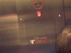 FUCKING CHICK BEFORE GETTING TO THE ROOM gif