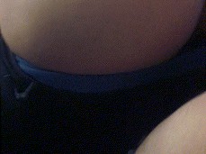 doggy hair pulling gif