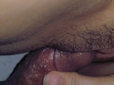 SLOW PENETRATION gif