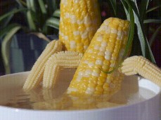 cornporn gif