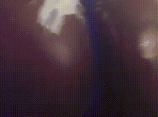 Creamy butt twerk gif