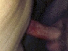 Student fucks a virgin, knocks down a virgin close-up gif