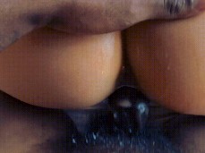 bbc fuck backshot gif