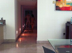 Leading her down the hall gif