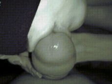 Licking blowjob. Closeup gif