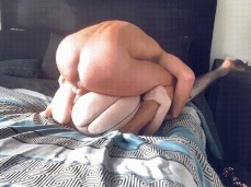 2 great asses coliding gif