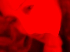 petera argentina gif