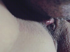 Lick it until you cum gif