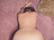 Chubby ass pov anal gif