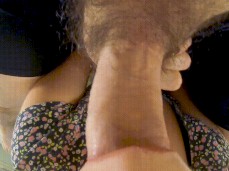 Sucking Cock Sissy gif