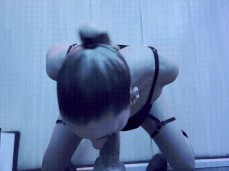 sexy fox sucks cock gif