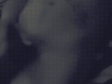 2 Hand Jerking Big Cock gif