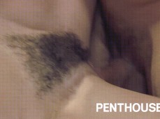 hairy brunette gif