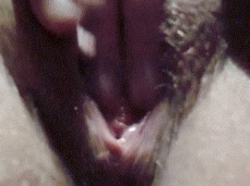 clit caress gif