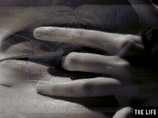 blk n white dramatic puss gif