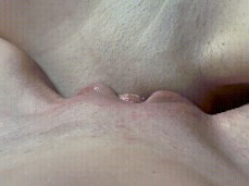 pussy fucking with pussy lovely gif