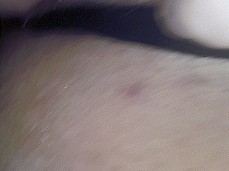 Tight Squirting pussy and cumshot gif