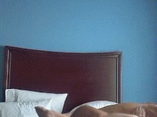 Alpha Male Gettin That Nut gif