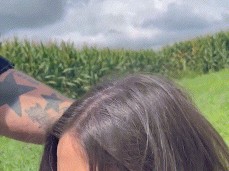 Corn field bj gif