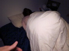 vampire collective gif