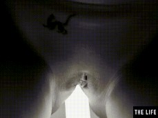 Masturbation gif