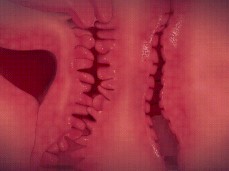 叹为观止的3p gif