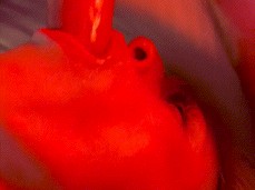 you are nothing but a hole gif