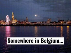 Milf sucks like a pro gif