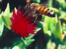 TEST_GIF_Pending2023/04/04 11:09 gif