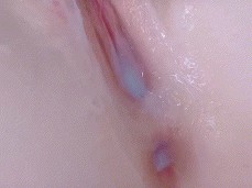 对对对地地道道的 gif