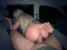 POV safe sex in parked car gif