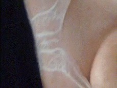 big tits bouncing gif