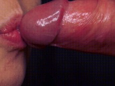 Swallowing Cum Fun gif