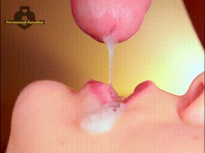 Sexy Sucking of the cock gif