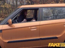 カーセックスで揺れる車 gif