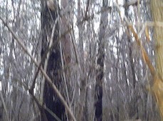 бутылкой gif