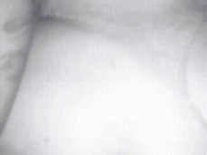 Blacked Salem Oregon gif