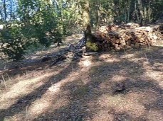 ✓ NatalyaRaelynn sexonly.top/ggvecfy