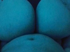 ✓ Flowmaax sexonly.top/fgucfrw gif