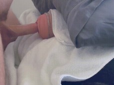 ✓ bella star sexonly.top/zhiotus gif