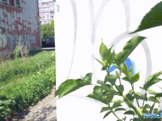 ✓ victoria usheina sexonly.top/yzdivni gif