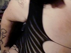 ✓ Elysee Paradise sexonly.top/wgghsqa gif